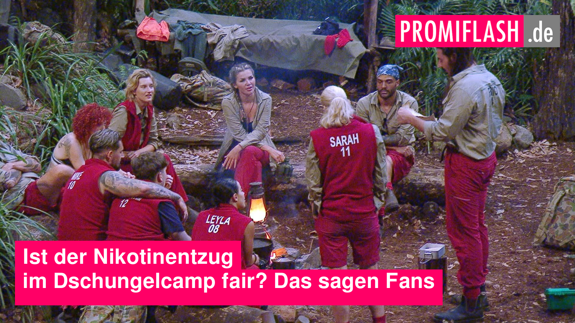 elfbar elfa master akku Schmuggel-Skandal im „Dschungelcamp“: Yeliz Koc versteckt E-Zigarette im  Schlüpfer main image 1