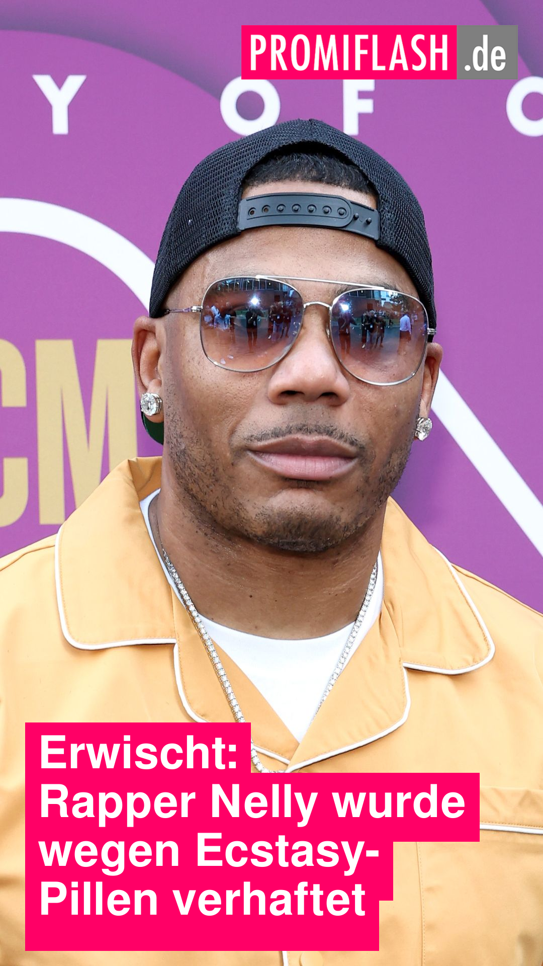 Nelly Rapper Dog Rapper Nelly