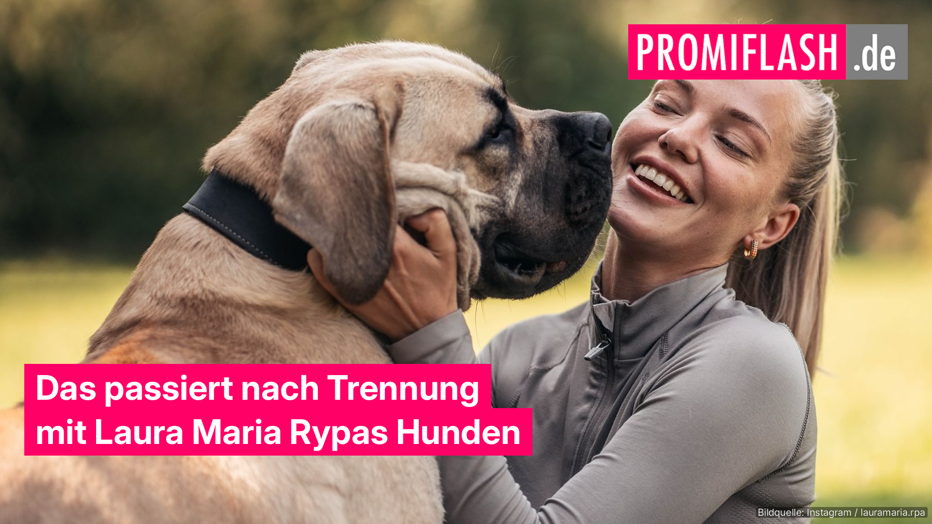 Das passiert nach Trennung mit Laura Maria Rypas Hunden